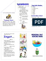 leaflet-diit-dm.doc