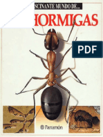 El Fascinante Mundo de Las Hormigas 
