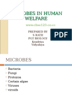 Microbes Inhuman Welfare