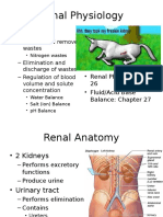 Renal Physiology