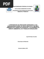 A Percepção Do Pescador Artesanal e Da Marisqueira Sobre Os Seus Direitos a Um Meio Ambiente de Trabalho Saudável e as Normas Do Direito Ambiental Do Trabalho Brasileiro