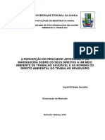 A Percepção Do Pescador Artesanal e Da Marisqueira Sobre Os Seus Direitos A Um Meio Ambiente de Trabalho Saudável e As Normas Do Direito Ambiental Do Trabalho Brasileiro