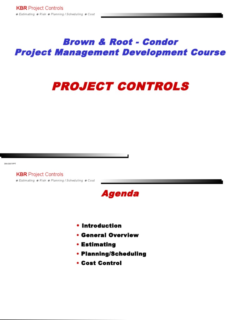 Free Project Controls Training Overview | PDF | Feasibility Study | Risk