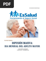 Plan de Actividades para Adultos Mayores | PDF | Adultos | Vejez
