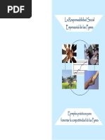 La Responsabilidad Social Empresarial de Las PYMES