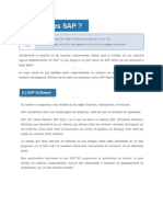 Que es SAP.pdf