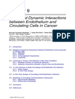 Static and Dynamic Interactions Between Endothelium and Circulating Cells in Cancer