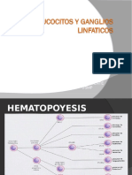 Dr. Luis Taxa Rojas: Hematopoyesis y trastornos mieloides