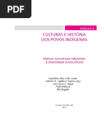 Cultura e história dos povos indígenas