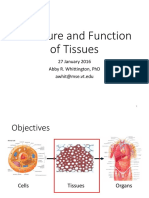 Structure and Function of Tissues: 27 January 2016 Abby R. Whittington, PHD Awhit@Mse - Vt.Edu