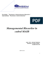 Mg.risc Maib (lucrul individual)