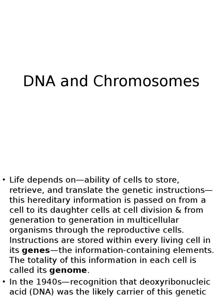 Understanding DNA and Chromosome Structure | PDF | Histone | Chromatin