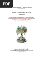 Guide Pratique Du Procédé Zensight PDF