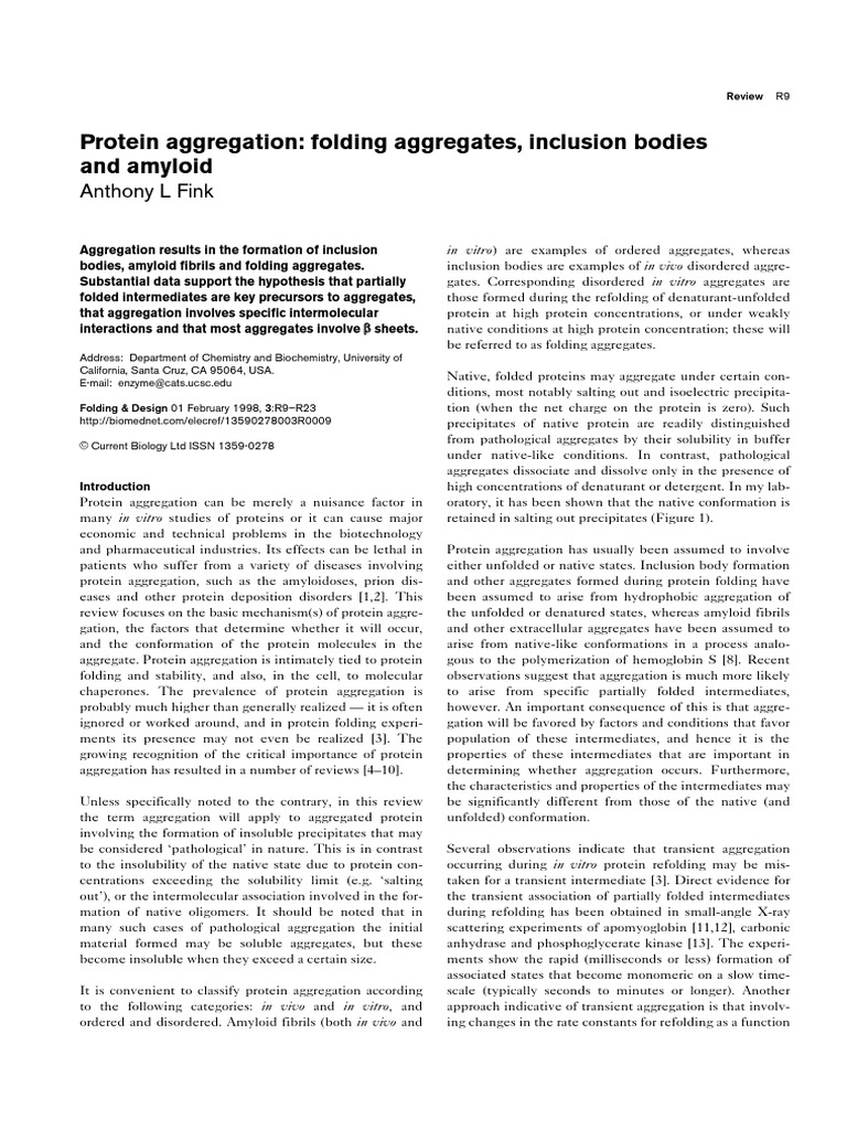Protein aggregation folding aggregates, inclusion bodies and amyloid