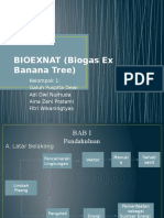 BIOEXNA (Biogas Ex Banana)