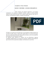 Informe de Práctica Sociología 2udhwuInforme de Práctica Sociología 2eifnluwenfudhwuInforme de Práctica Sociología 2eifnluwenf