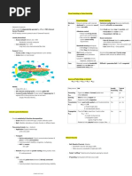 COMP 4621 - Computer Communication Networks I