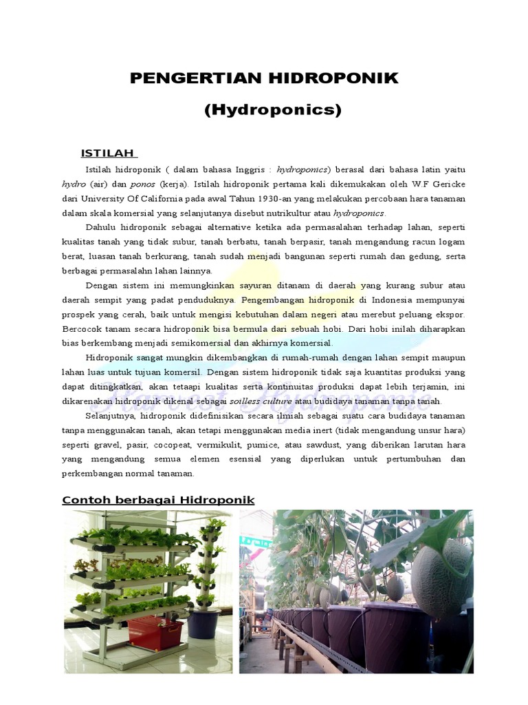 MATERI PELATIHAN HIDROPONIK MATERI PELATIHAN HIDROPONIK