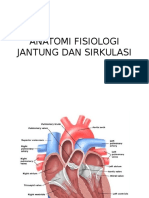 Anatomi Fisiologi Jantung Dan Sirkulasi