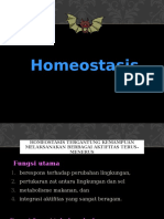 Homeostasis & Maintenain Cell