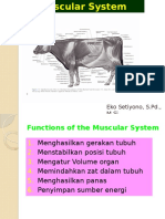 4. Sistem Muskularis