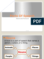 Parts of Speech: Nouns and Pronouns