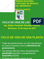 Ppt Ciclo de Vida Genetica