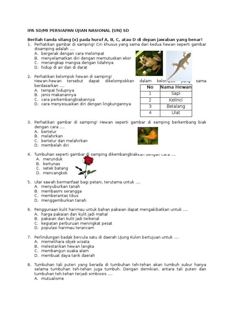 930 Koleksi Gambar Hewan Sd HD