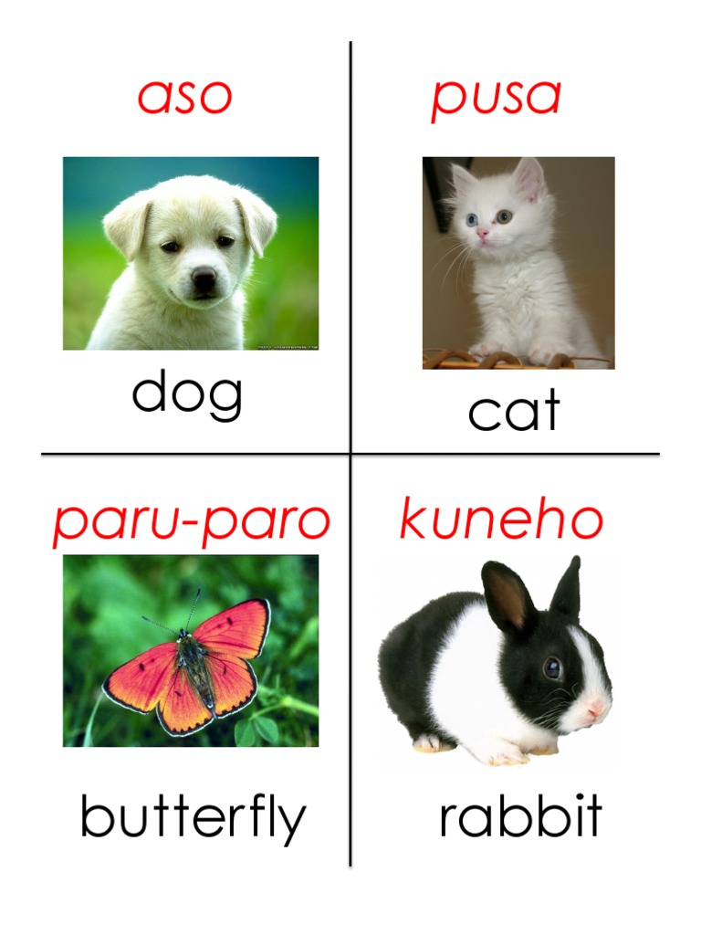 Tagalog Flashcards Cognition Psychology