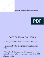 Biokimia - Heme Degradation