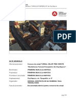 Anexa 1 - TEMA DE CONCURS.pdf