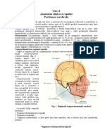 anatomia_topografica_a_regiunii_cerebrale_a_capulu.pdf