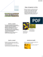 Bacterial Shape, Arrangement, Size and Structure