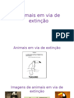 Animais Em via de Extinção