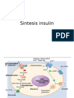 Sintesis Insulin