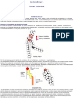 12-19-26-04 - Aula de Biologia