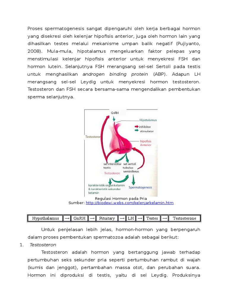 Yalangoch rassomlar va fotosuratlar