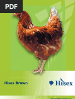 Download Hisex Brown by Abeng Manu Tanaka SN33487083 doc pdf