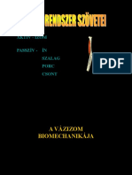 A-vázizom-biomechanikája.pdf