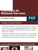 Fisiologia Do Sistema Nervoso