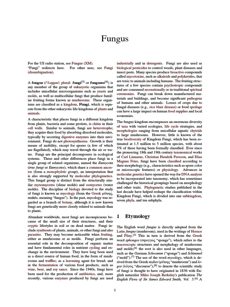 Blog Archives Photos By Kim