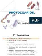 Protozoa Rios