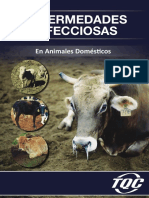 Infeccion TQC PDF