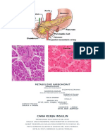 Cara Kerja Insulin: Metabolisme Karbohidrat
