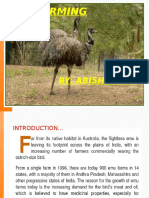 Emu Farming: By: Abishek D M