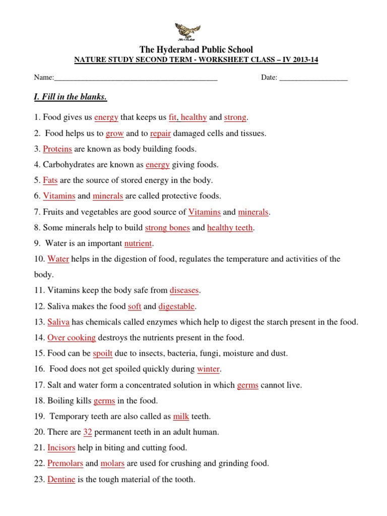 Food and Digestion for Class 4 | PDF | Tooth | Digestion