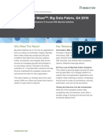 Forrester Big Data Fabric Wave