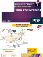 Transmisión Colinérgica