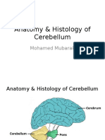 Anatomy & Histology of Cerebellum: Mohamed Mubarak