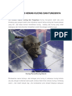 Ciri Khusus Hewan Kucing Dan Fungsinya